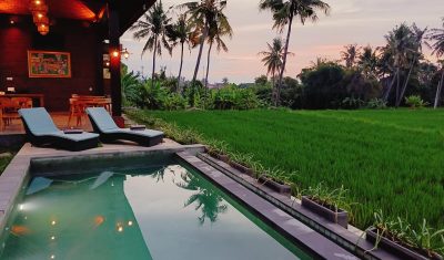 Swiming Pool